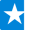 2023_Website_Star_4.8