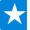 2023_Website_Star_4.9